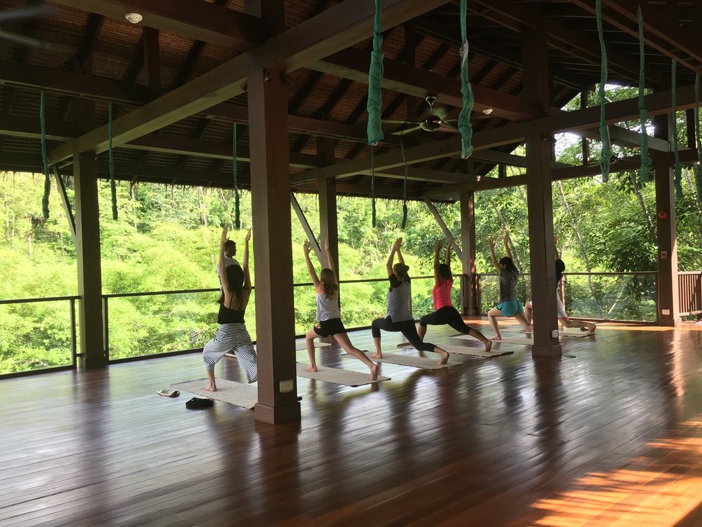200 hour yoga teacher training at Rishikesh Yoga School